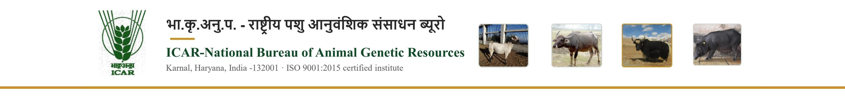 IMAGE_LOGO